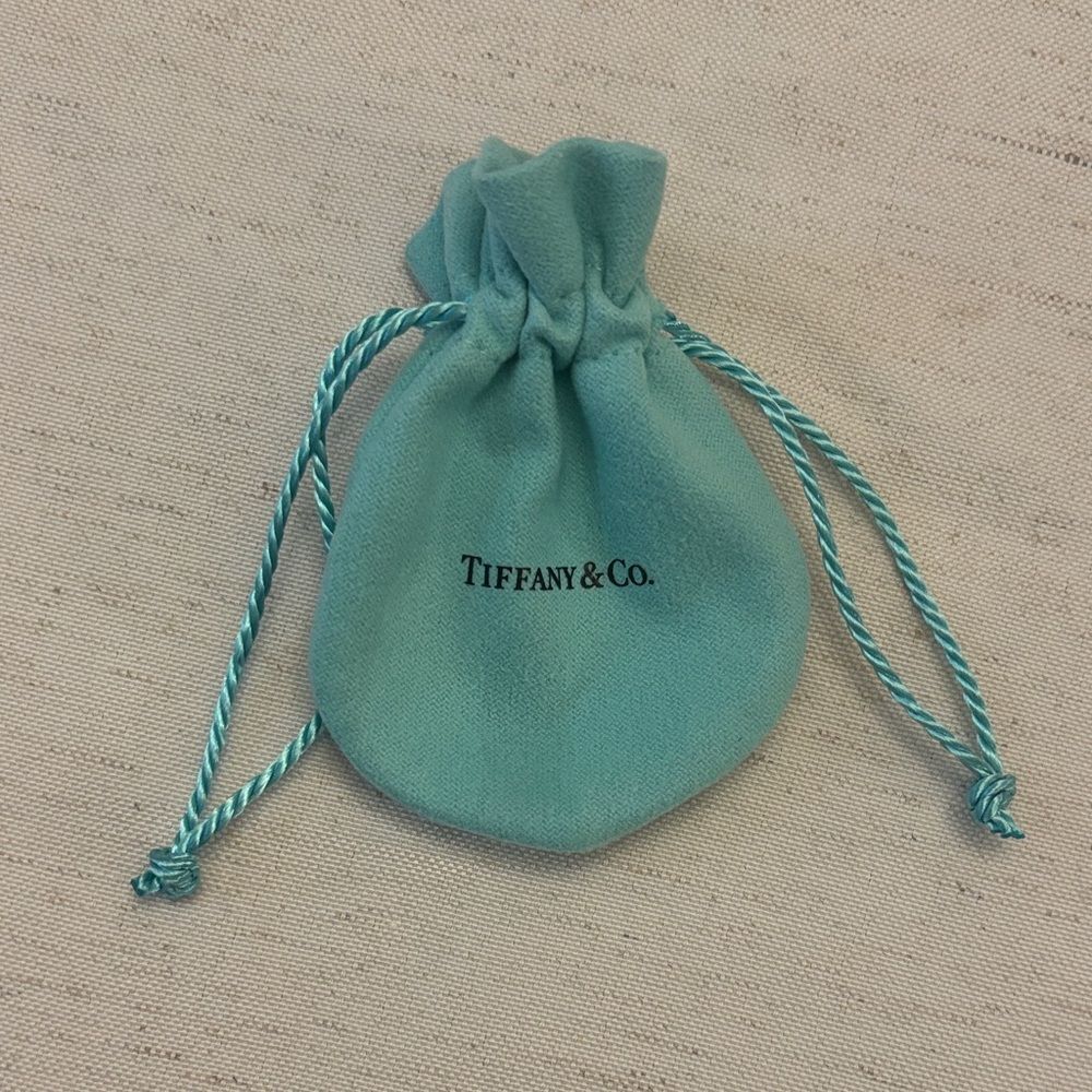 Tiffany & Co. Aqua Jewelry Empty Pouch